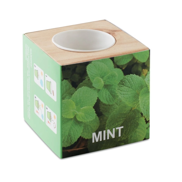 MENTA, Pot en bois avec graine Menthe front