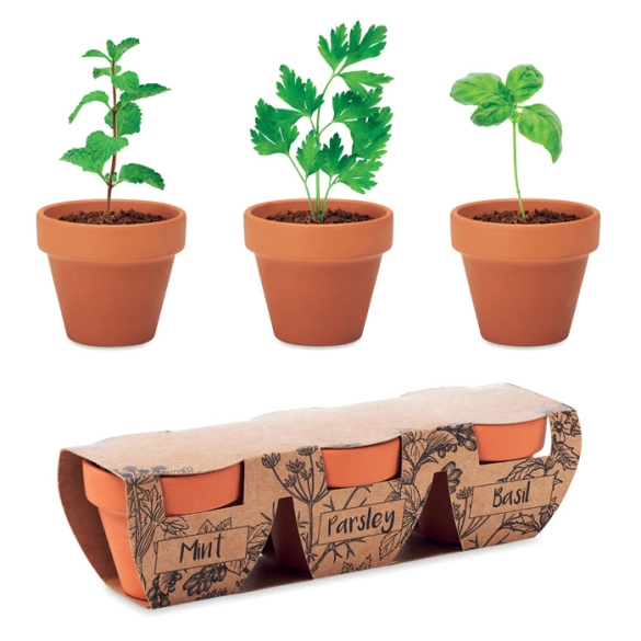 FLOWERPOT, 3 pots en terre front