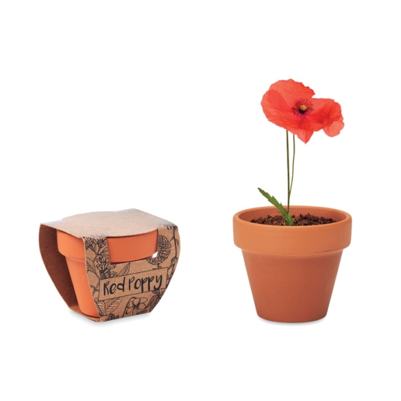 RED POPPY, Pot graines de coquelicot front