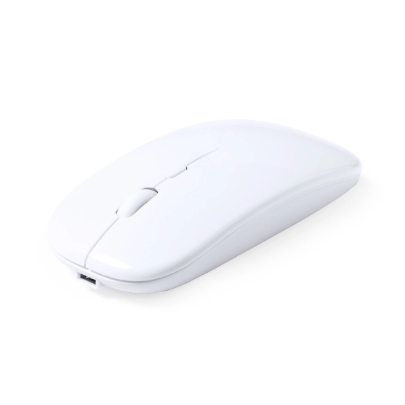 Souris Chestir RCS