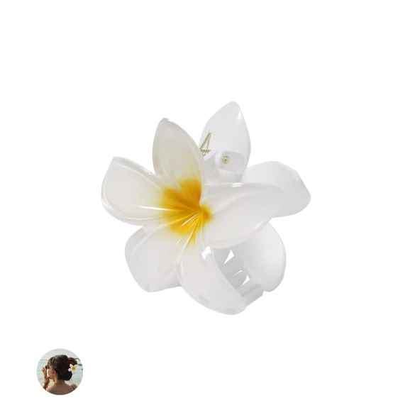 Pince à cheveux Tixcon