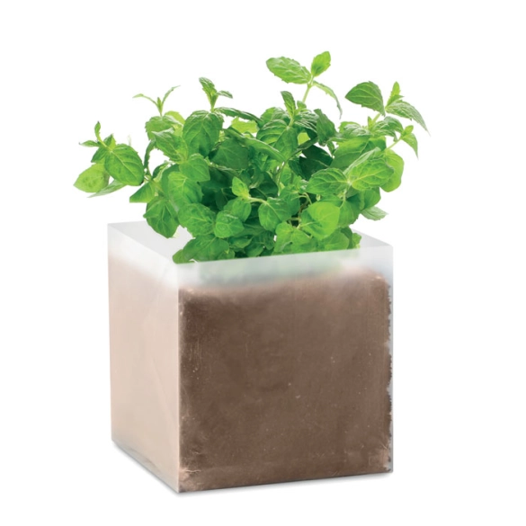 MINT, Substrat avec graines Menthe front