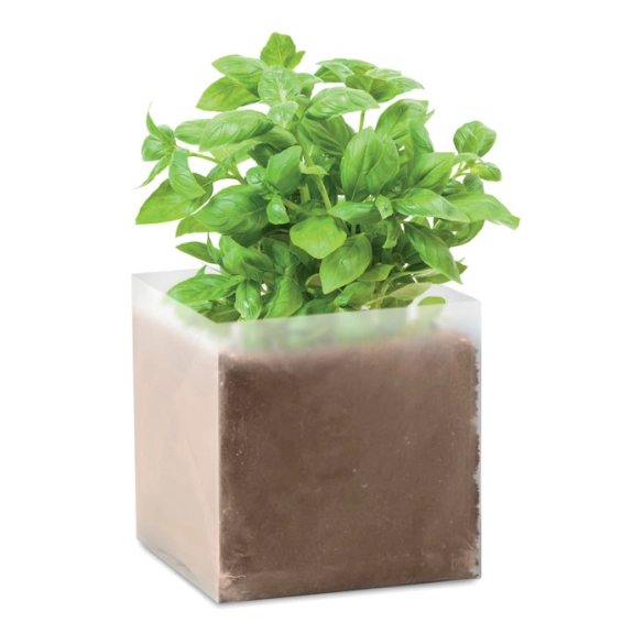 BASIL, Substrat avec graines Basilic. front