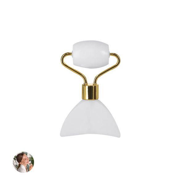 Masseur Facial Herbiax