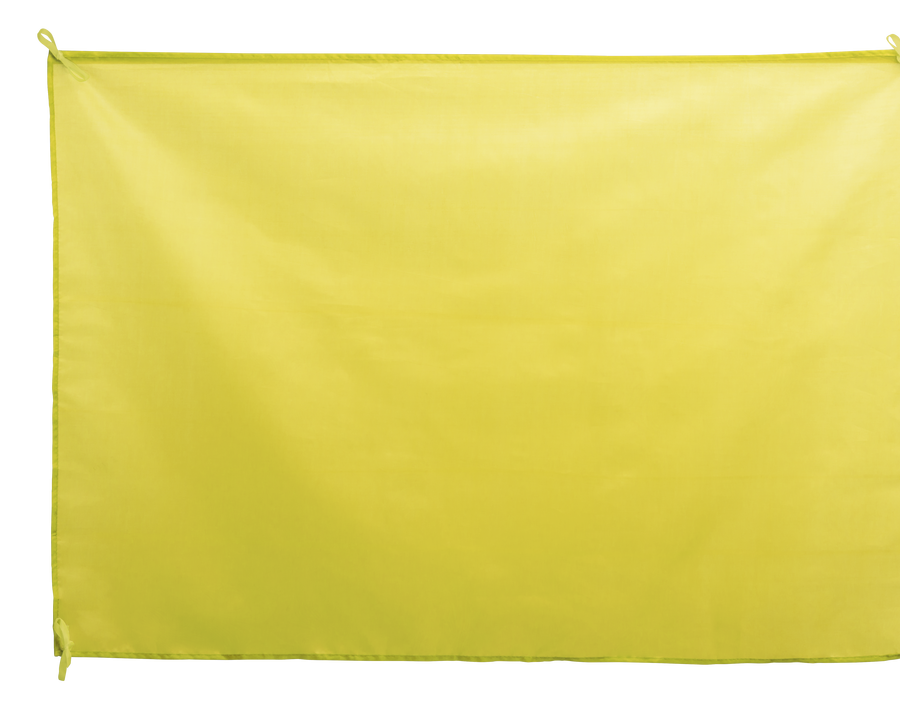 Drapeau Dambor