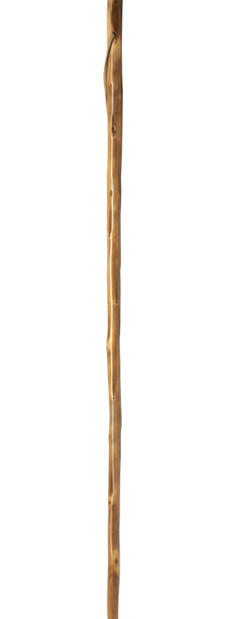Bâton Tamdar