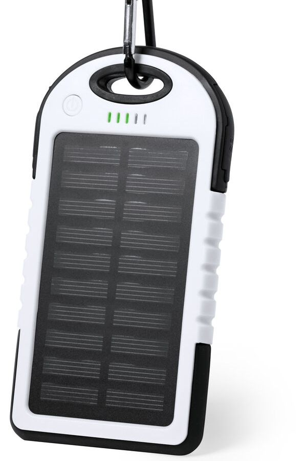Power Bank Lenard