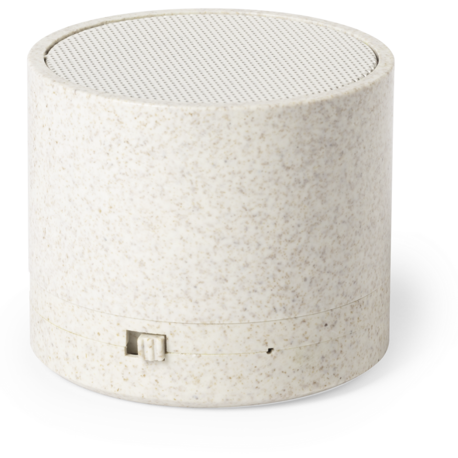 Haut-Parleur Cayren