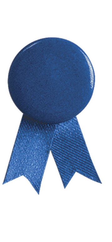 Pin's Ruban Solidario