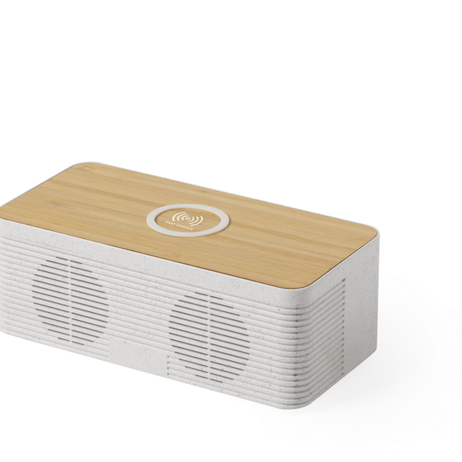 Haut-Parleurs Chargeur Trecam