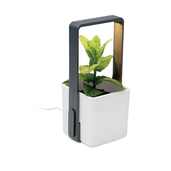 LUSHLET, Jardin intérieur éclairage LED