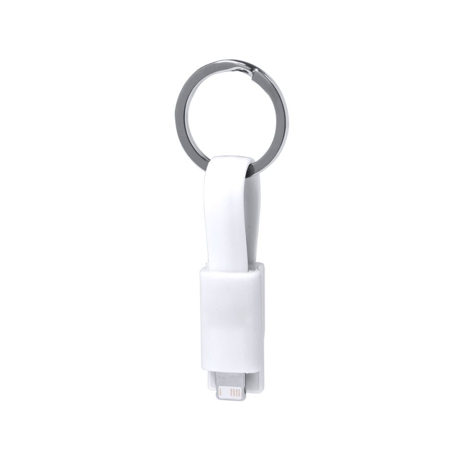 Câble de Charge Holnier