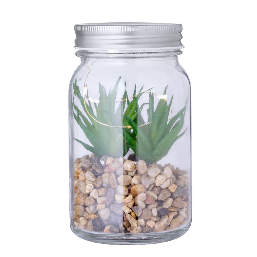 Plante Décorative Kyala
