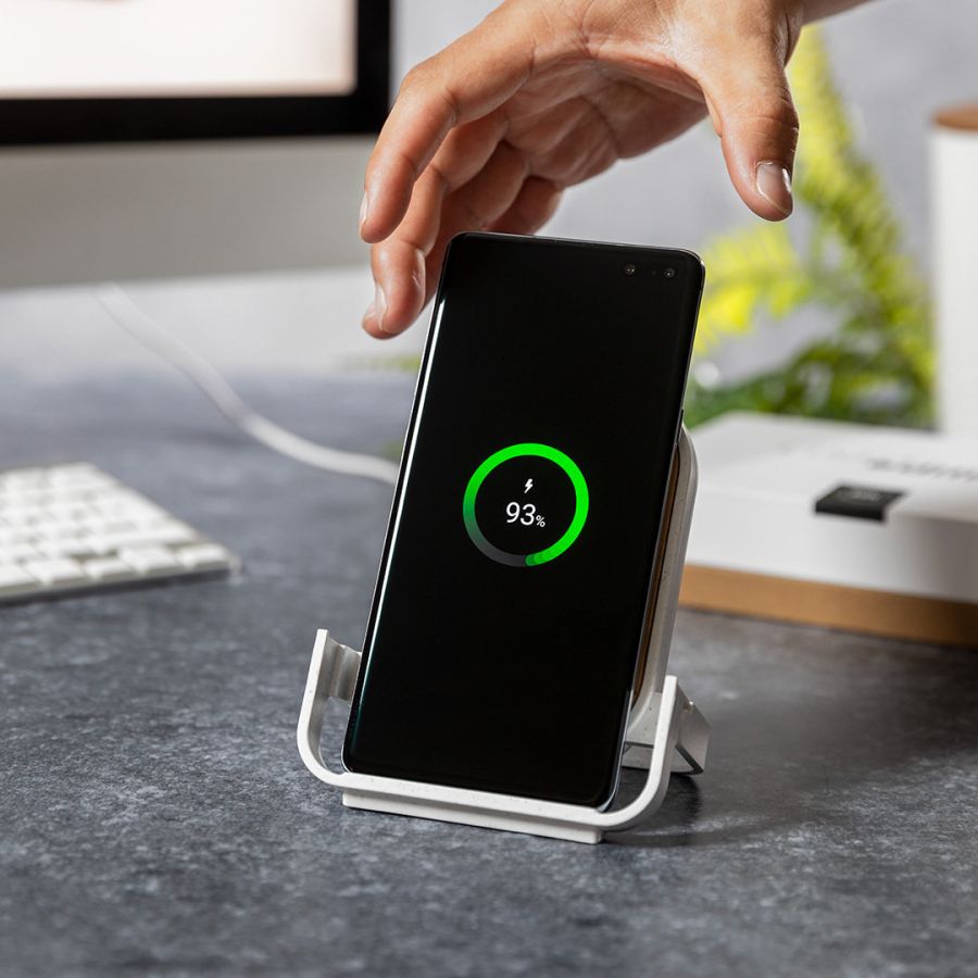 Chargeur Buisson