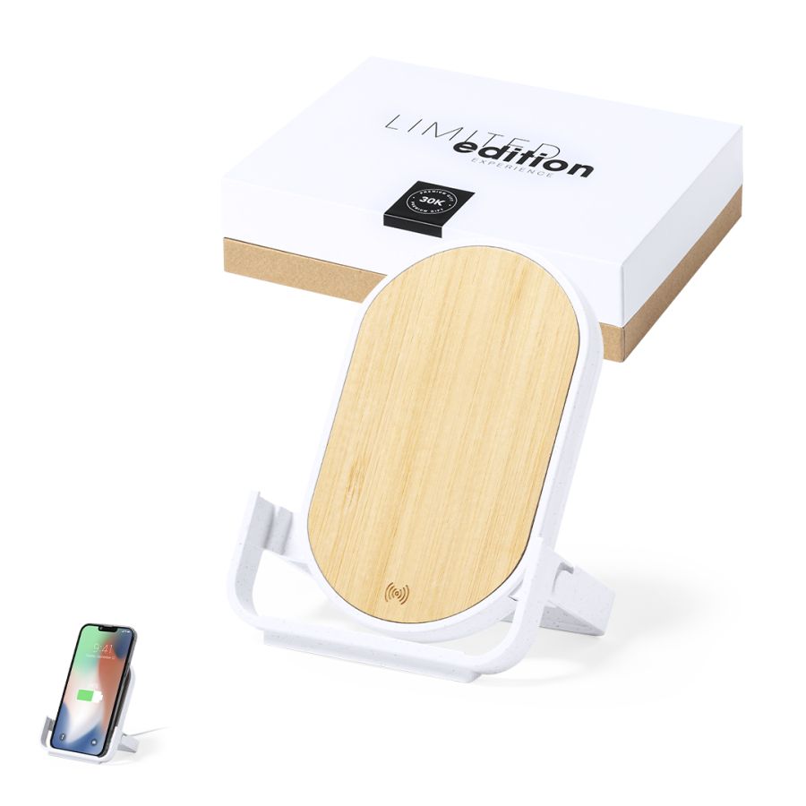 Chargeur Buisson