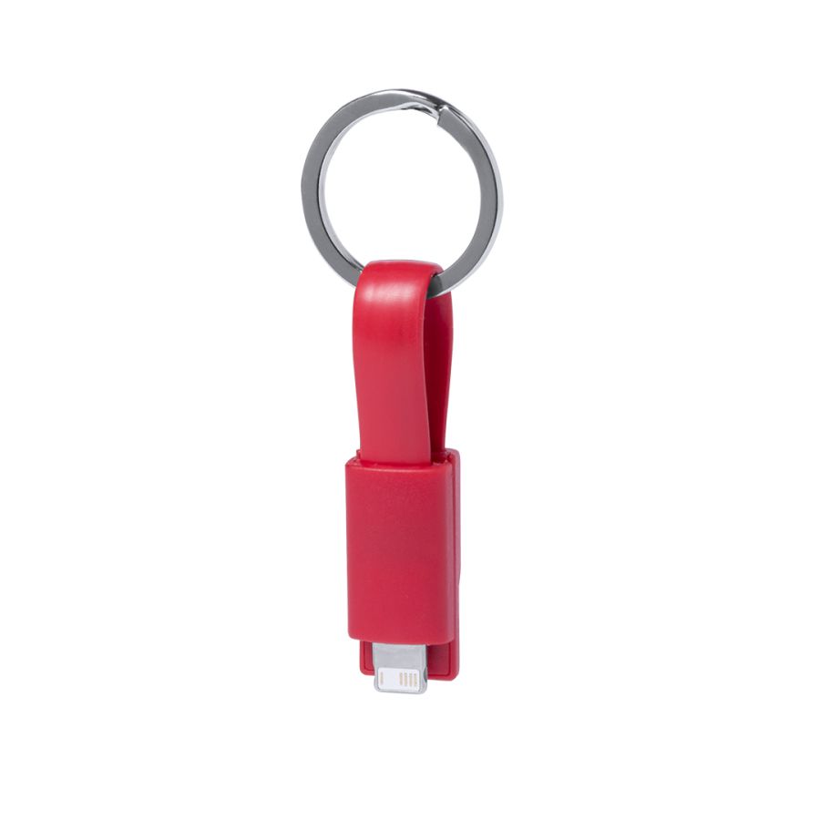 Câble de Charge Holnier