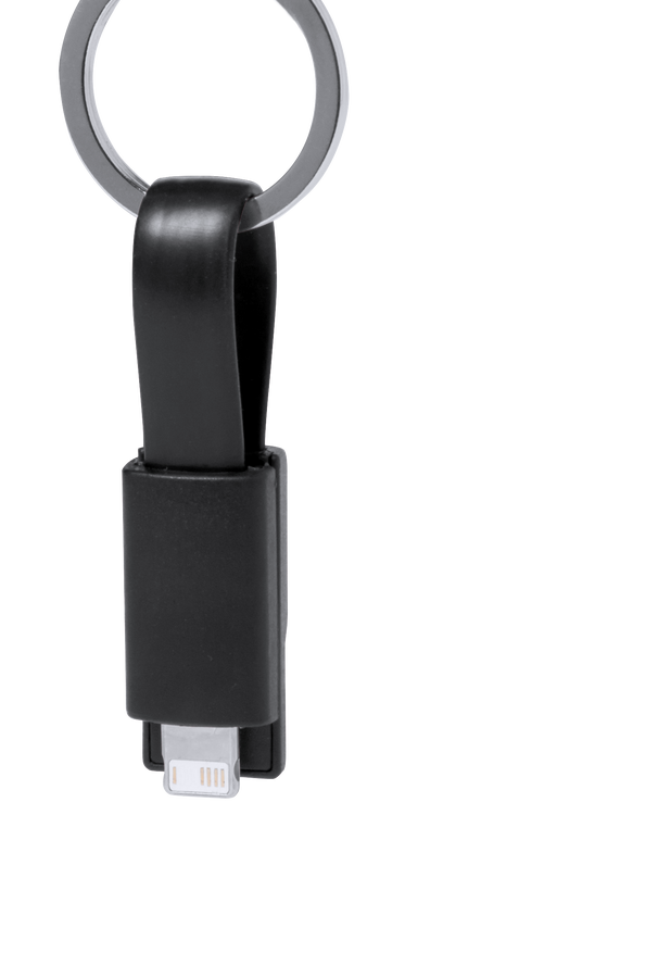 Câble de Charge Holnier