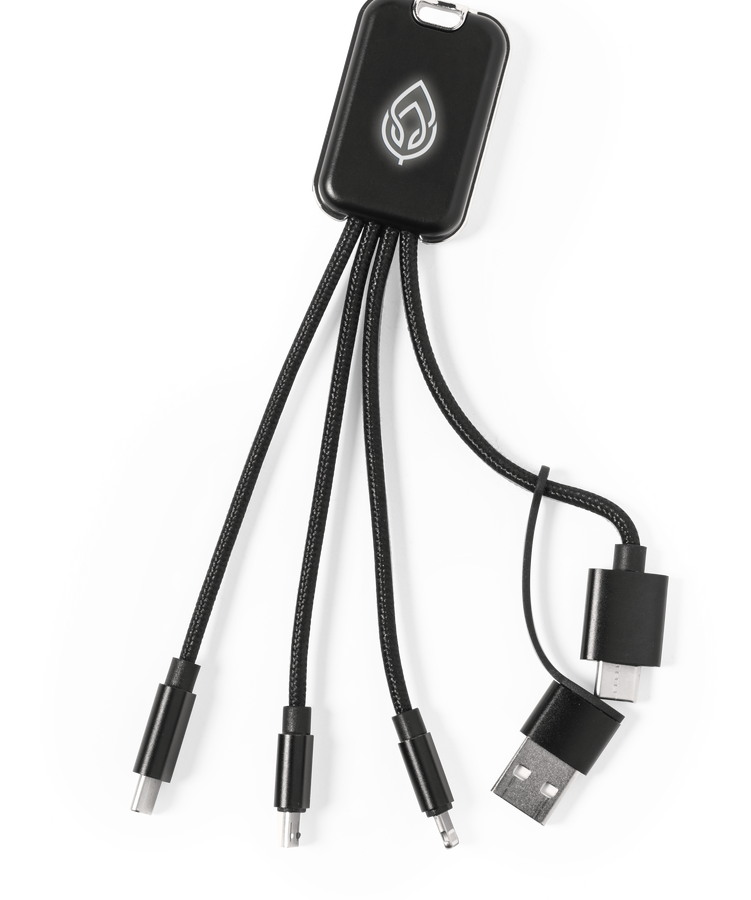 Câble de Charge Whoco