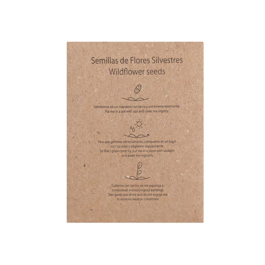 Sachet Graines Balvor