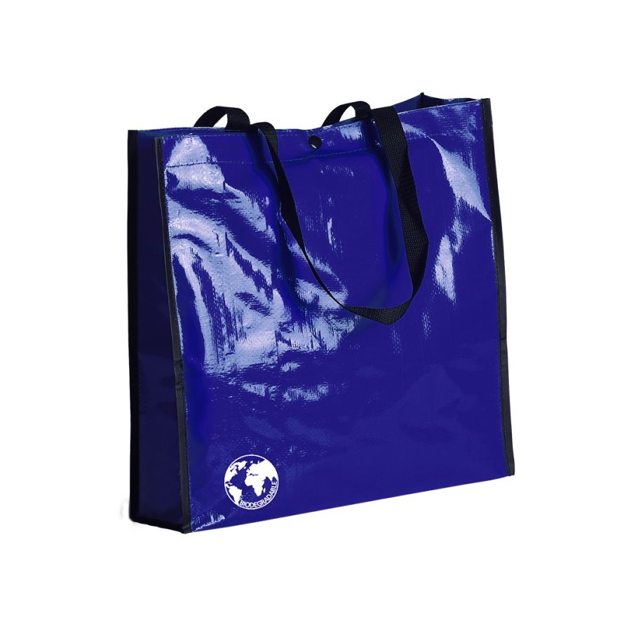 Sac Recycle