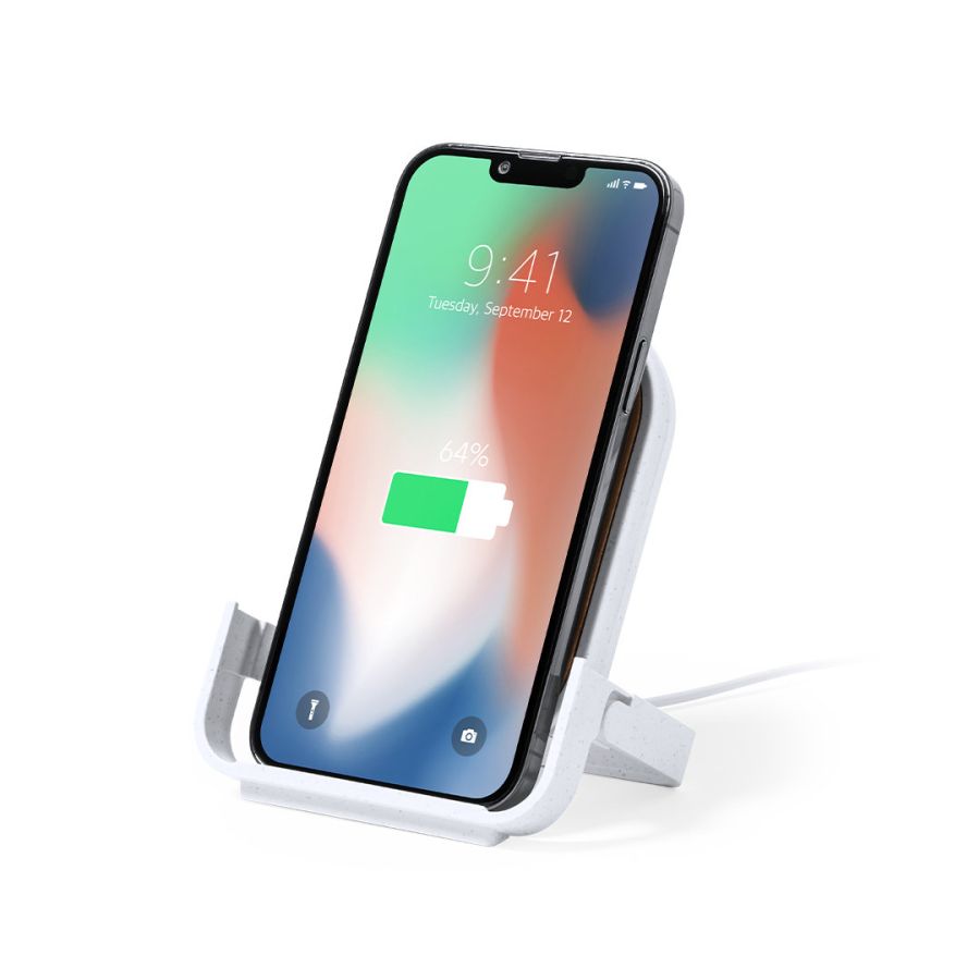 Chargeur Buisson