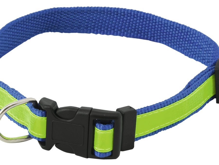 Collier Muttley