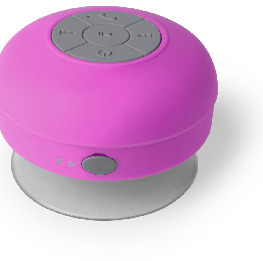 Haut-Parleur Rariax