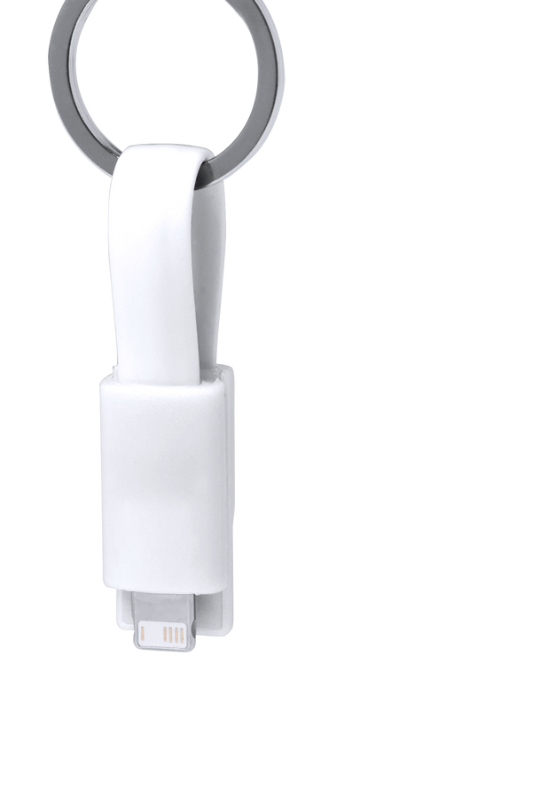 Câble de Charge Holnier