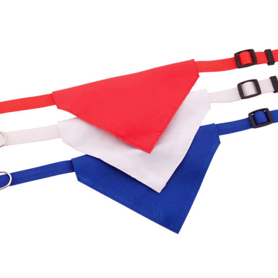 Collier Bandana Roco