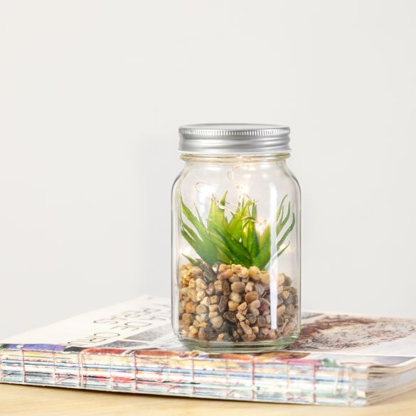 Plante Décorative Kyala
