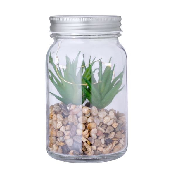 Plante Décorative Kyala