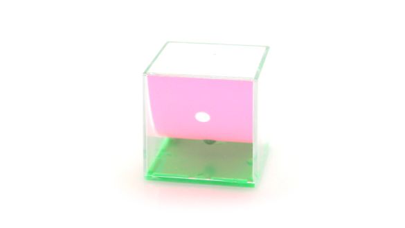 Jeux d´Habilitées Carlo