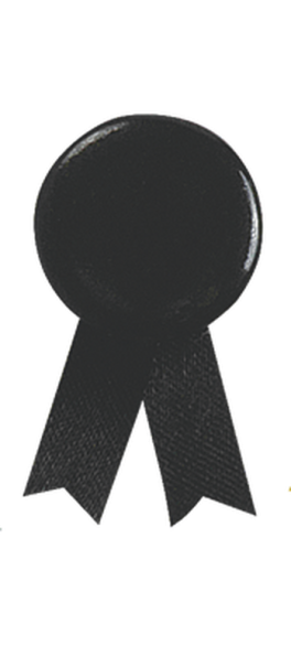 Pin's Ruban Solidario
