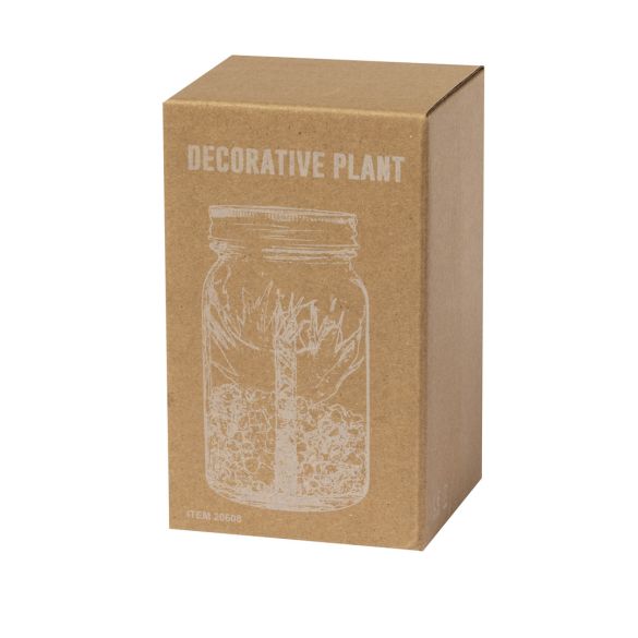 Plante Décorative Kyala