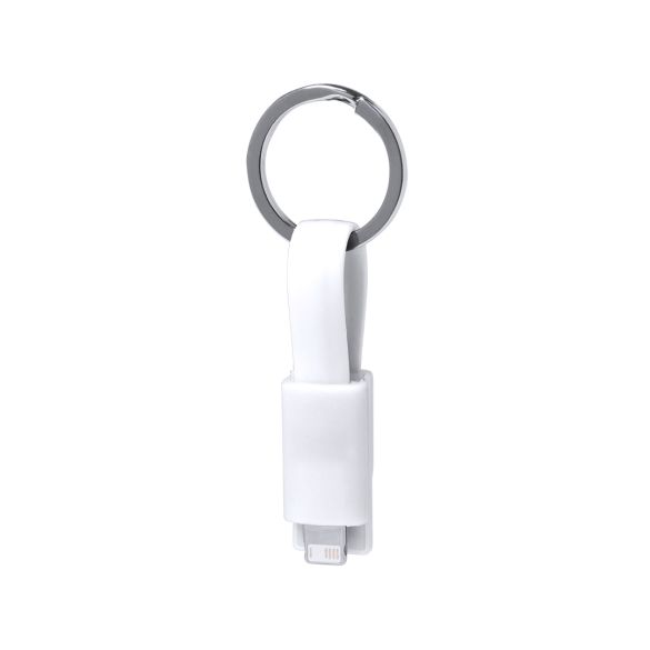 Câble de Charge Holnier