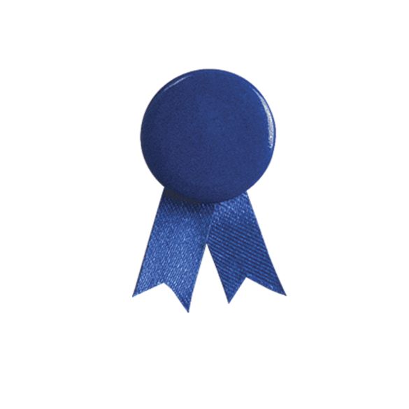 Pin's Ruban Solidario