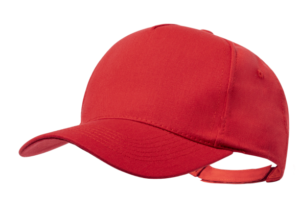 Casquette Pickot