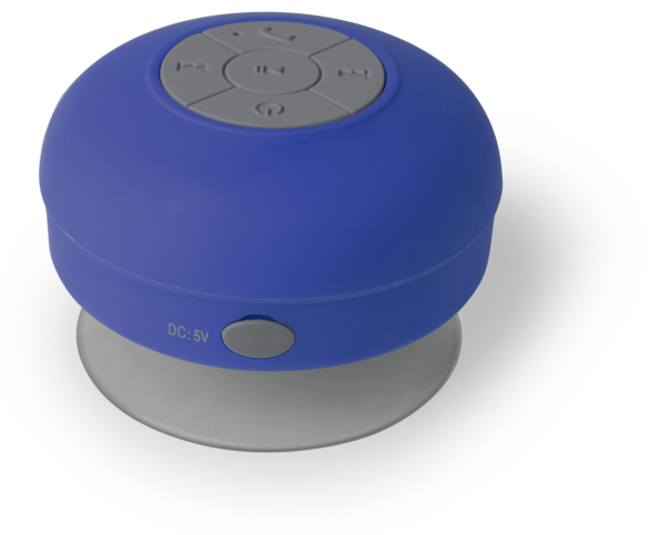 Haut-Parleur Rariax