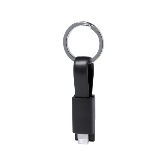 Câble de Charge Holnier