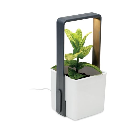 LUSHLET, Jardin intérieur éclairage LED