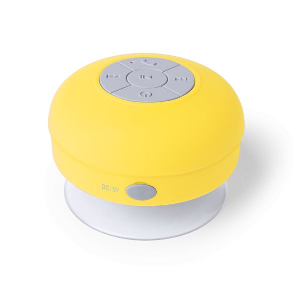 Haut-Parleur Rariax