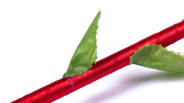 Stylo Ximor