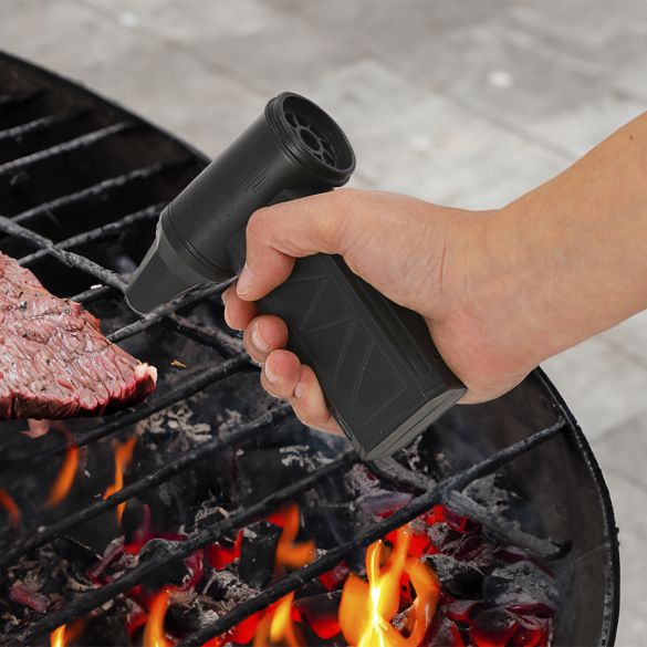 Souffleur Aspirateur Logarix