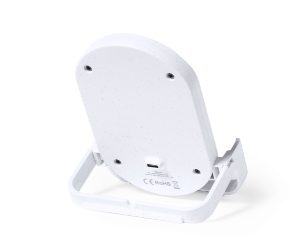 Chargeur Buisson