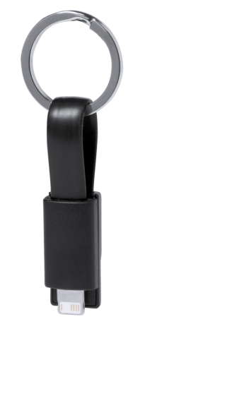 Câble de Charge Holnier