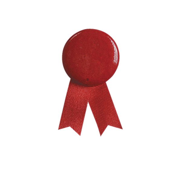 Pin's Ruban Solidario