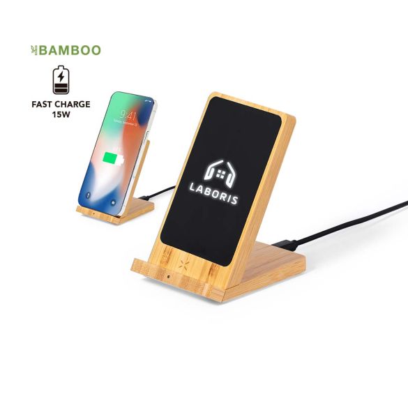 Chargeur Steward