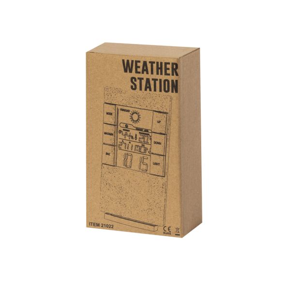 Station Météo Maginly