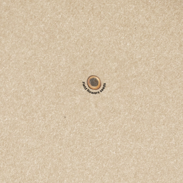 Bloc Notes Ensemencé Baupres