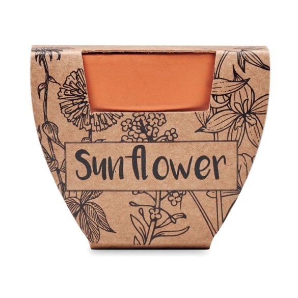 SUNFLOWER, Pot graines de tournesol